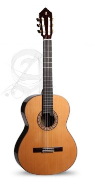 Alhambra 10-Premier Classical Guitar, Solid Wood Top and Sides, Concert