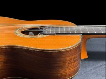 AVAILABLE SOON: the2Mic-Pro™ | Classical - Flamenco Dual Soundhole Mic PRO Model