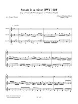 Bach arr. by Krause | Sonata in A minor BWV 1029 for 3 guitars