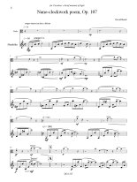 Braid | Four Disparate Pieces for viola and mandolin