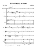 Braid | Light without Shadows for chamber music with guitar