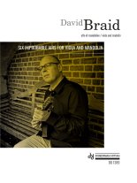 Braid | Six improbable airs for viola and mandolin