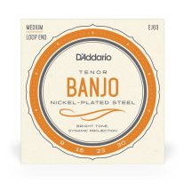 D'Addario EJ63 4-String Tenor Banjo, Nickel 9-30