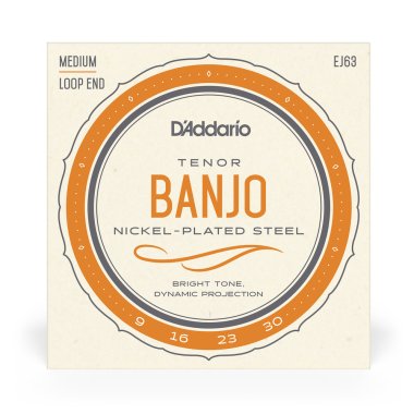 D'Addario EJ63 4-String Tenor Banjo, Nickel 9-30