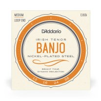 D'Addario EJ63i 4-String Irish Tenor Banjo, Nickel 12-36