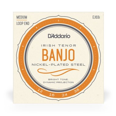 D'Addario EJ63i 4-String Irish Tenor Banjo, Nickel 12-36