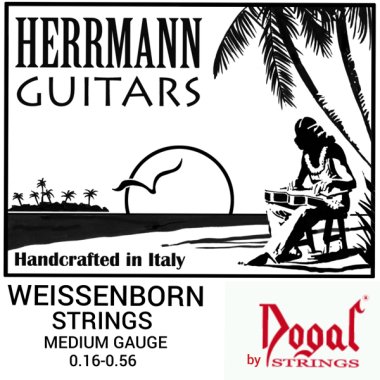 Dogal WG163A Set for Weissenborn Guitar .016-.056