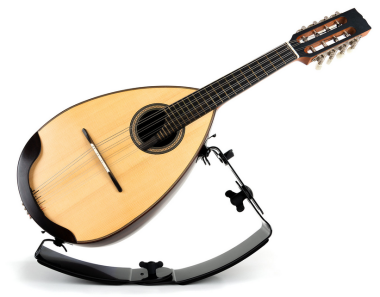 ErgoPlay Mandolin & Lute Support