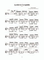 Ernesto Nazareth Guitar Solo Anthology 28 Guitar Solos