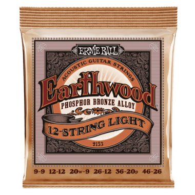 Ernie Ball 2153 Earthwood Phosphor Bronze Acoustic 12-String, Lt 9-46