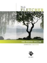 Fletcher | The Weeping Willow for solo guitar