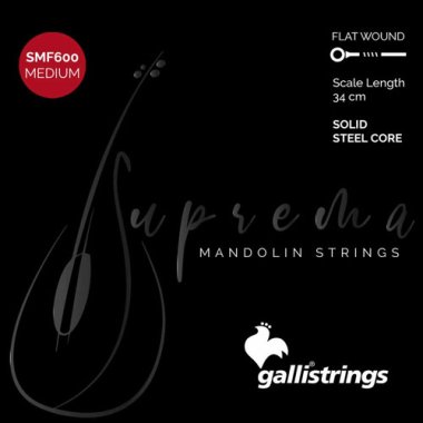 Galli SMF600 Mandolin Strings, Medium Gauge, Loop End