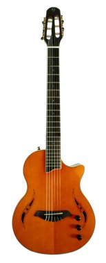 Giannini - Nashlyn Nylon, Amber, Cutaway w/ pickup and case
