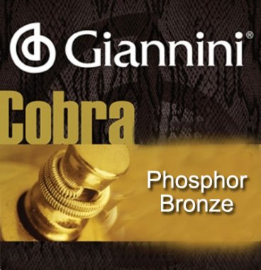 Giannini Phosphor Bronze Acoustic Guitar Strings Light 12-53