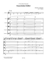 Holanda | Concertinho Colibri for Mandolin and Orchestra