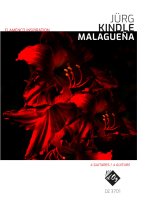 Kindle | Flamenco Inspiration - Malaguena for 4 guitars