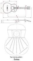 Kremona Romida RD-S Solid Spruce Top Classical Guitar, Dlx Hard Case