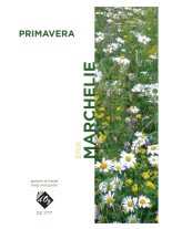 Marchelie | Primavera for guitar & harp