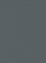 MicroMesh 8000 grade, one sheet