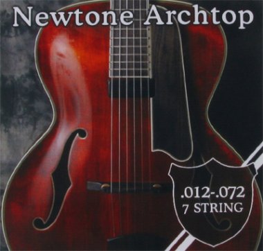 Newtone Archtop Double Wrap ARCH7-1272, 7 String Electric Guitar 12-72