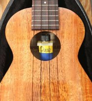Oasis Ukulele Humidifier OH-18