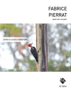 Pierrat | Lever du jour a Paramana for solo guitar