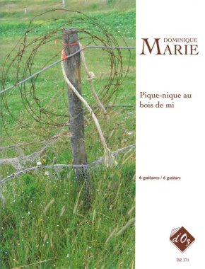 Pique-Nique Au Bois De Mi