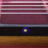 Rosette Blue Dots Gold Fret Markers (Two Color), pack of 9 dots
