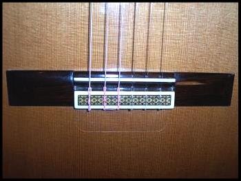 Rosette Tie Guard, Static Cling Protector