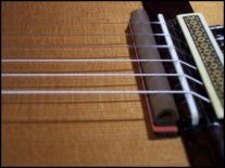 Rosette Tremolo Mute Practice Tool