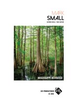 Small | Mississippi Revisited for solo guitar