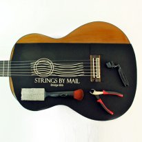 Strings By Mail Bridge-Bib&trade; Guitar String Change Protection