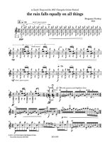 Verdery | The Rain Falls Equally on All Things for solo guitar