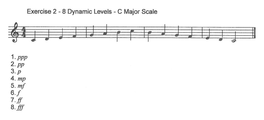 Dynamics Ex 2