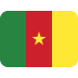 flag of Cameroon