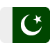flag of Pakistan