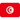 flag of Tunisia