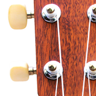 Instruments & Cases