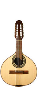 image of a Bandurria