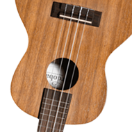 Ukulele Strings