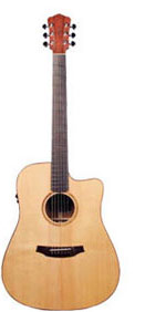 image of an acoustic guitar