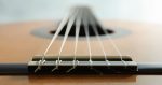 A shot from an acoustic guitar bridge tailpiece